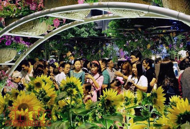 Người dân TP Hồ Chí Minh đổ về trung tâm ngắm hoa, chờ thời khắc pháo hoa Giao thừa ảnh 3